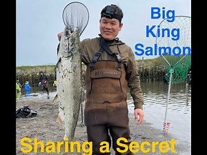 Real Time Samish River Update | Unlock the Secrets: Flushing Fish Techniques for Big Catches!