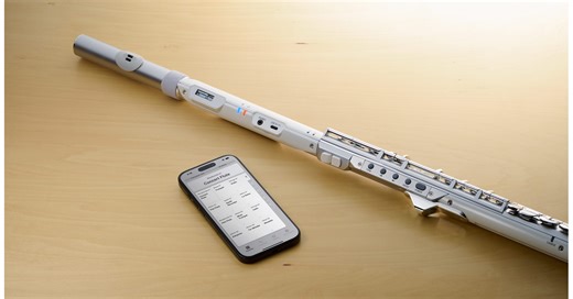 Roland Aerophone Brisa Digital Wind Instrument Quickstart Guide - SweetCare