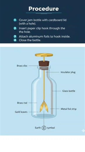 Improvised electroscope class 8th ps