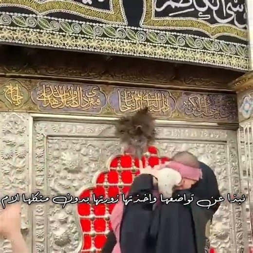 ام الريشه شكد محبوبة 🥹🤎✨️ سـتـوريات حسينية سوي مـشاركة 🥹♥️🌿 #ياعلي #shorts .