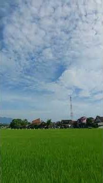 Tes Kamera Samsung A73 Super Steady Stabil Sambil Jalan #samsung #samsunga73 #hermanbagusreview #a73