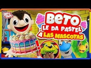 Beto gives cake to the pets - Bely and Beto