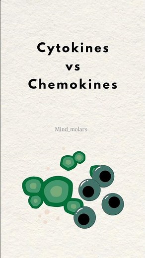 Cytokines vs Chemokines | Immunology Made Easy 🧬 | NEET PG, INICET, MBBS, MCCQE