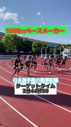 エリートランナーのためのハイレベルペースメーカー体験