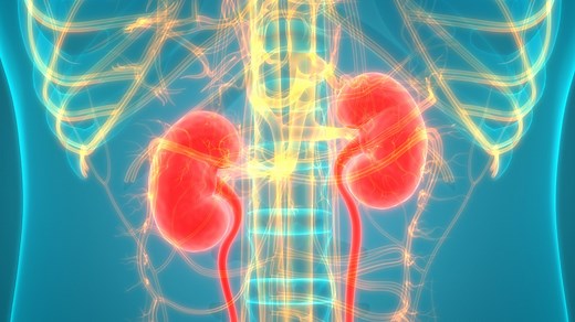 Chronic Kidney Disease Basics