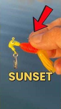 Does This Bait Color Really Work Better At Sunset? #fishing #fishingvideos