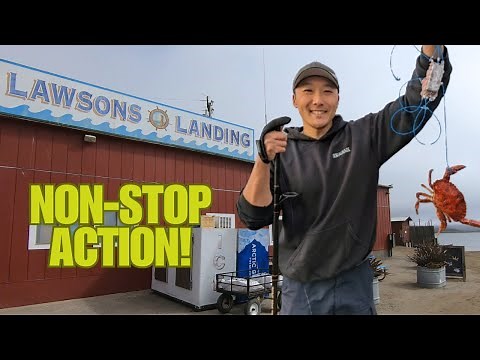 Crabbing Lawson's Landing 2024 with snares