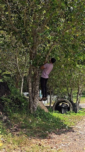 Monkey Genetics 🐒 Calisthenics skill in public 🥷✅️