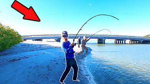 36K views · 1K reactions | Tossing live bait under the best fishing bridge in SW Florida | AnglerUp with Brant | Facebook