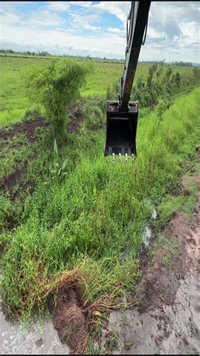 Excavator Operator Tips for Efficient Cleaning