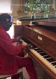275K views · 17K reactions | FLAVOR FLAV::: My mom was a classic concert pianist,,, if she was still here,., I know she would be so proud that her son got invited to The White House,, and then I got invited to play the piano at The White House. I hope I made my family proud,,, cuz I sure am proud of myself and so grateful for an opportunity like this. Shout out to Gina and Marty and Sasha and my main man Sam I am for making it all happen. | Flavor Flav | Facebook