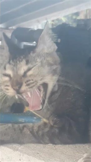 #Kmoceng Come on ceng