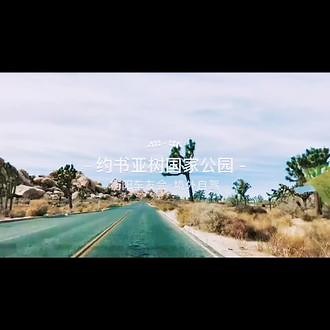 约书亚树，学名短叶丝兰，生活在北美西南部，分布于美国加州，亚利桑那州，犹他州和内华达州。约书亚树国家公园。