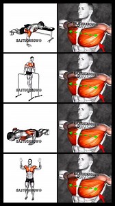 Wider chest at home workouts | Fit Pro