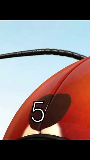 9wowmoviegs บน TikTok