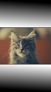 2M views · 10K reactions | Movie explained video #movies #explainedinhindi #video #Explained #shorts #trending #viral #new #short | Koshindar Gamer | Facebook