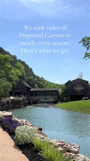 Exploring the Beauty of Dogwood Canyon Through the Seasons