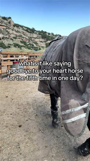 Saying Goodbye to Your Heart Horse: Why It’s So Hard