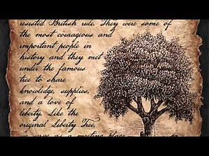 Liberty Tree The Original Liberty Tree