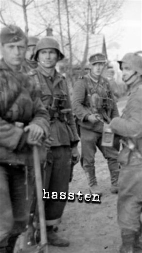 Why did many Wehrmacht soldiers hate the SS…? #ww2 #history #knowledge #military