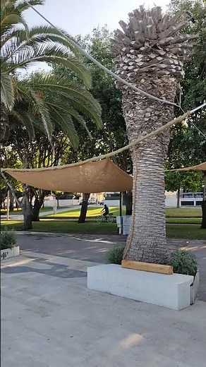 22 Alghero spazi con ombra graditi, fondamentali per il giorno