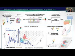 Proteomics Analysis Pipelines | 2021 EMSL Summer School