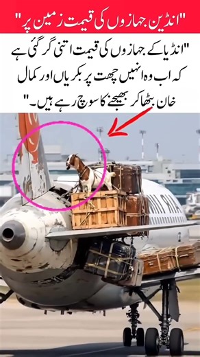 Video Indian Jets P Crash! Now goats will fly#IndianJets#IndianAirforceFail#IndiaJetPrice#FunnyVideo