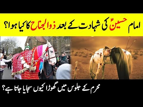 Zuljanah || Loyal Horse 🐎Of Imam Hussain AS || ذولجناح || Dhuljanah || Complete History Of Zuljanah
