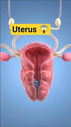 How Sperm Meets the Egg | Fertilization Process Explained in 3D Animation #medicalanimation