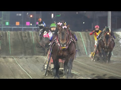 馬蹄の絆 ばんえい 馬と歩んだ北の大地