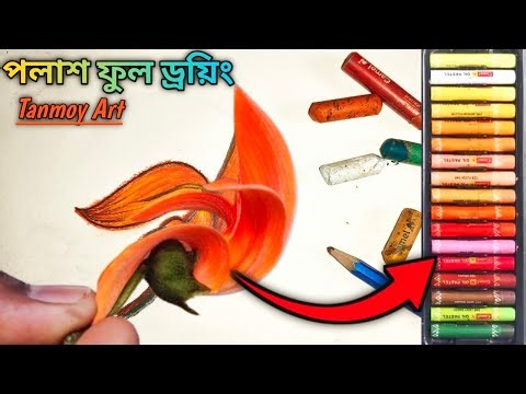 বসন্তের আগুন 🔥 পলাশ ফুল ড্রয়িং | Realistic Oil Pastel Flower Drawing | Tanmoy Art