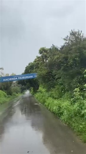 Videos de QUISP🇧🇴 (@quisp240) con “sonido original - Rosiflor.oficial”