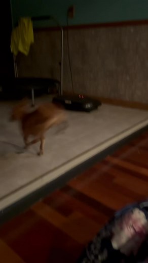 1.1K views · 11 reactions | Heather Robinson on Reels | Facebook