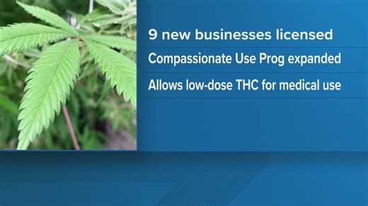Texas expands medical marijuana program with new dispensary licenses