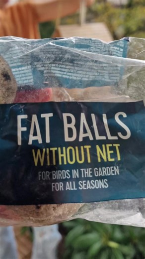 Bird Feeders and Laughter: A Sweet Moments Story