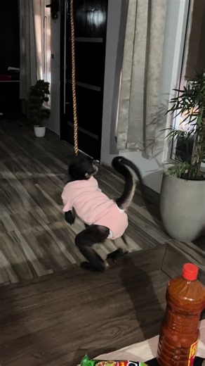 Rutila_oficial on TikTok