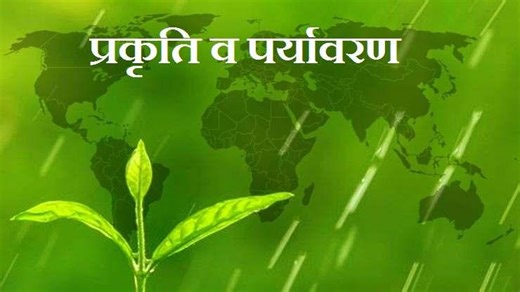 Essay on Environment : पर्यावरण पर हिन्दी में रोचक निबंध