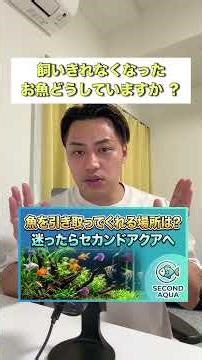 Kotobuki Kogyo Flat LED 600 (Ichinoe, Edogawa-ku, Tokyo) [Fish Protection Facility/Second Aqua] #...