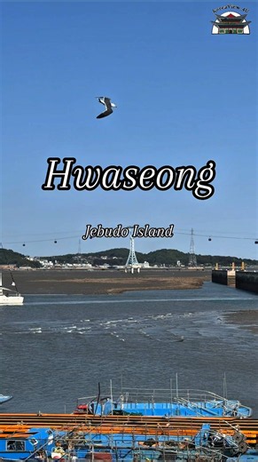 Jebudo Island (제부도) 🐦🌊