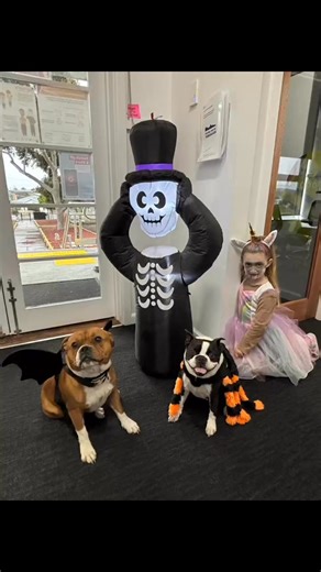 🎃 Spooktacular Halloween Fun! 👻Yesterday we celebrated Halloween in true spooky style, what an incredible effort from everyone! From amazing costumes to our therapy dogs joining in the fun, it was a frightfully good day. 🐾💀We even made a special trip to Eventide Homes and got an exclusive sneak peek at Melissa’s haunted house 👀🏚️ Stay tuned for more photos and stories in next week’s newsletter! | Stawell West Primary School