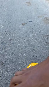 Super Car Yellow Remote Control | Tripti Dimri