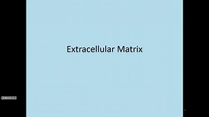 Extracellular Matrix: Histology Video Lecture