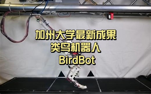 仿生“机器鸟”BirdBot诞生！