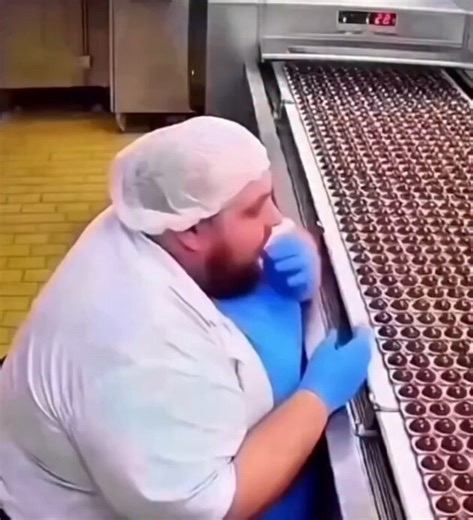 The joy of finding the perfect job