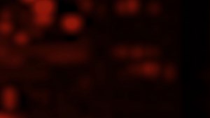 9.8K views · 24 reactions | Get the day's top stories and breaking news updates everyday with TEAM NIGHTBEAT. KSAT Steve Spriester KSAT Stephania Jimenez KSAT Greg Simmons KSAT Leigh Waldman KSAT John Paul Barajas Stream for free on KSATPlus- https://bit.ly/3llWJuX?utm_source=facebook&utm_medium=social&utm_campaign=snd&utm_content=ksat12 | KSAT 12 & KSAT.com | Facebook