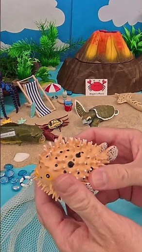 Pufferfish Blows Up! 🐡💨 | Spiky Animal Fun Facts