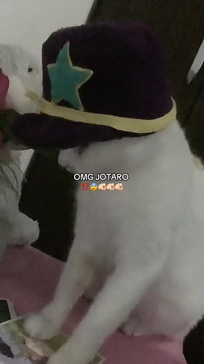 omaga #jotarokujo #jjba #jojosbizarreadventure