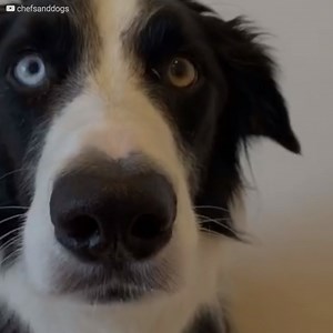 15K views · 564 reactions | An Australian chef has become a sensation...