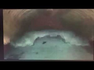 Finding Nemo - Inside the Whale (Mandarin Chinese)