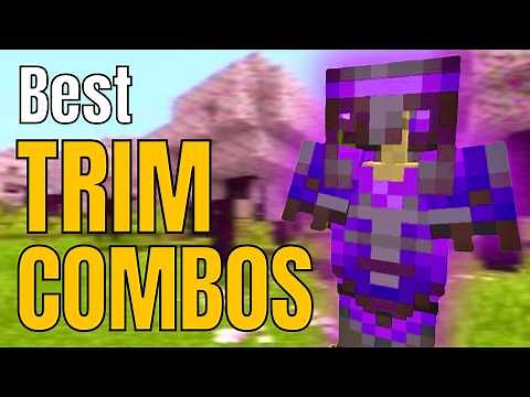 I found the PERFECT Armor Trim Combo in Minecraft